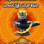 దర్శనంతోనే సకలరోగాలను నివారించే క్షేత్రం ఎక్కడో తెలుసా