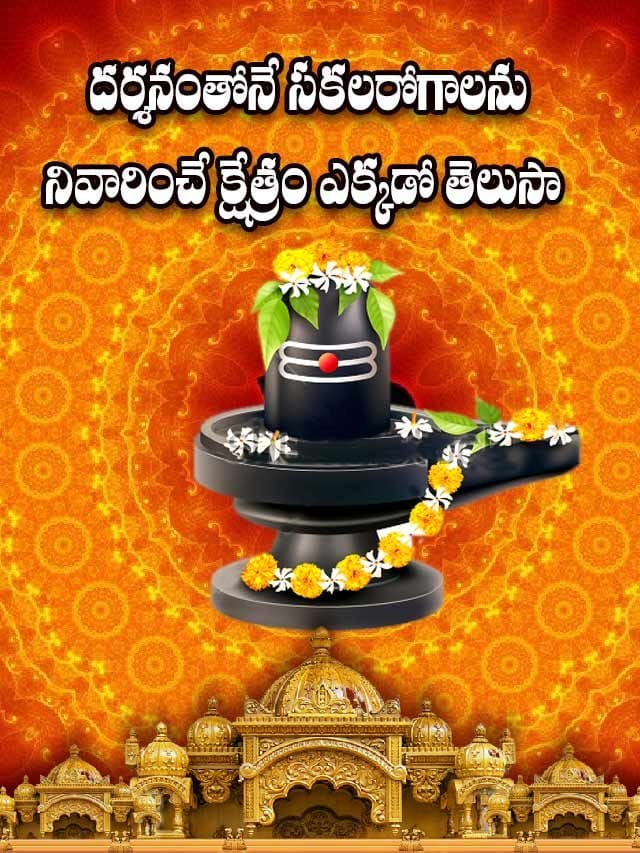 దర్శనంతోనే సకలరోగాలను నివారించే క్షేత్రం ఎక్కడో తెలుసా