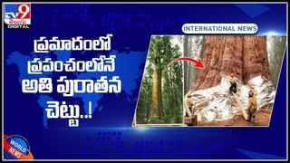 Nobel Prize Journalists: నిజంగా అద్భుతమే ‘నోబెల్‌ శాంతి పురస్కారం గెలుచుకున్న ఇద్దరు విలేకరులే..!(వీడియో)