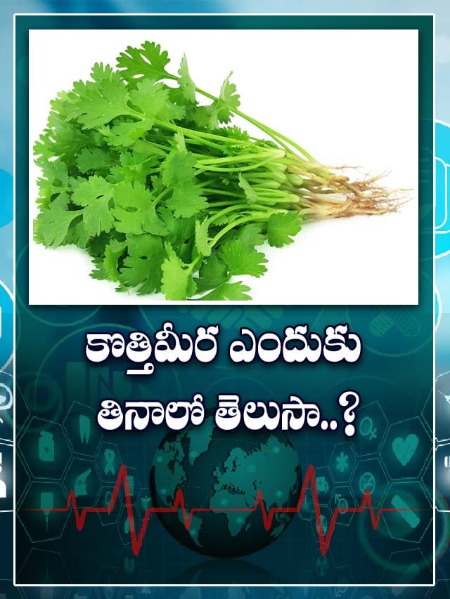 కొత్తిమీర ఎందుకు తినాలో తెలుసా..? TV9 Telugu Health Benefits Of