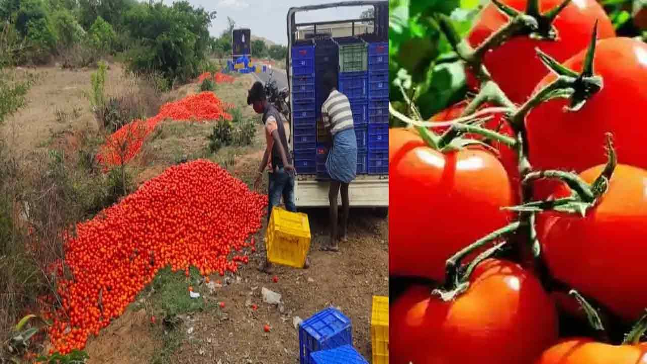 Tomato Price: 2 నెలల క్రితం రోడ్లపై కుప్పలు.. ఇప్పుడేమో కొందామంటే వాతలు.. తాజా ధర తెలిస్తే షాకే