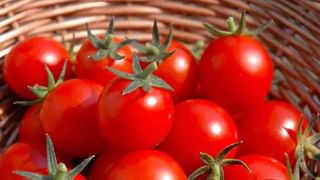 Andhra Pradesh – Odisha: మరో మలుపు తిరిగిన ఆంధ్ర-ఒడిశా బోర్డర్‌లోని కొటియా ఇష్యూ.. అక్కడ ఏం జరుగుతుందంటే..