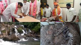 Meghana Travels: టిప్పర్ ను ఢీకొట్టిన 49 మంది ప్రయాణీకులతో వెళ్తోన్న మేఘన ట్రావెల్స్ బస్సు..