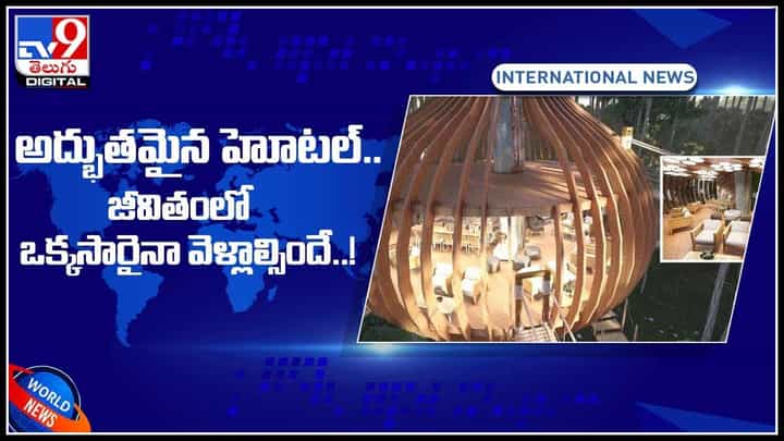 Tree Top Hotel: అచ్చం పక్షిగూడులా..! అద్భుతమైన హోటల్.. జీవితంలో ఒక్కసారైనా వెళ్లాల్సిందే..!(వీడియో) Tree Top Hotel: అచ్చం పక్షిగూడులా..! అద్భుతమైన హోటల్.. జీవితంలో ఒక్కసారైనా వెళ్లాల్సిందే..!(వీడియో)