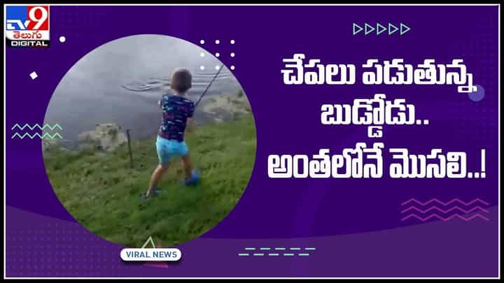 Viral Video: చేపలు పడుతున్న తండ్రీకొడుకులకు ఊహించని షాక్ ఇచ్చింది ఓ మొసలి.. వైరల్ గా మారిన వీడియో.. Viral Video: చేపలు పడుతున్న తండ్రీకొడుకులకు ఊహించని షాక్ ఇచ్చింది ఓ మొసలి.. వైరల్ గా మారిన వీడియో..