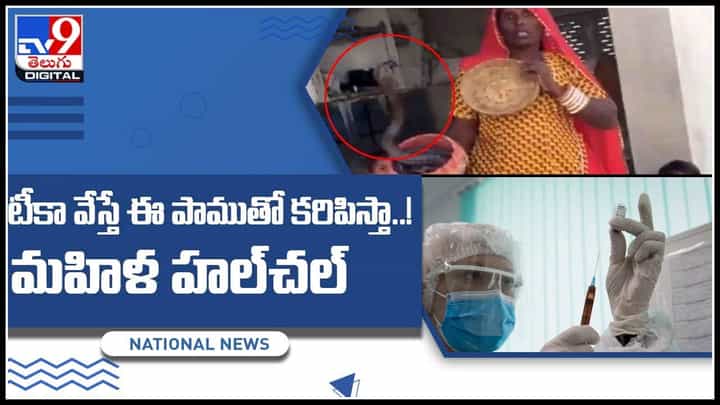COVID-19 vaccine: టీకా వేస్తే ఈ పాముతో కరిపిస్తా..! మహిళ హల్చల్.. వైరల్ అవుతున్న వీడియో.. COVID-19 vaccine: టీకా వేస్తే ఈ పాముతో కరిపిస్తా..! మహిళ హల్చల్.. వైరల్ అవుతున్న వీడియో..
