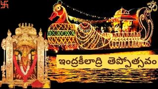 Dussehra 2021: పాల పిట్ట దర్శనంతో ముగిసే దసరా ఉత్సవాలు.. ఎందుకు దర్శిస్తారంటే..