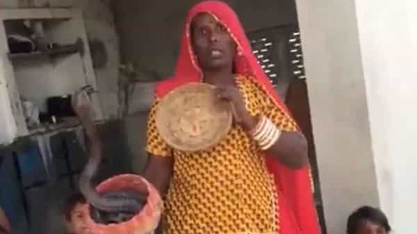 Viral Video: వ్యాక్సిన్ ఇస్తే పాముతో కరిపిస్తా.. మహిళ చేసిన పనితో భయంతో వైద్య సిబ్బంది పరుగులు.. వీడియో..