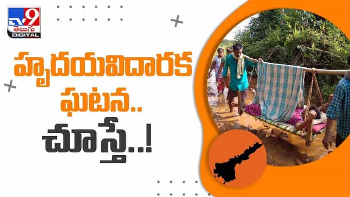 విజయనగరంలో హృదయవిదారక ఘటన.. మార్గం మధ్యలోనే..!! వీడియో విజయనగరంలో హృదయవిదారక ఘటన.. మార్గం మధ్యలోనే..!! వీడియో