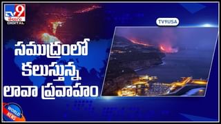 China Kills Cats Video: పిల్లుల్ని చంపేస్తున్నా చైనా.. ఎందుకో తెలిస్తే షాక్ అవుతారు.. మూగజీవాలా ప్రాణంతో ఆటలు..(వీడియో)