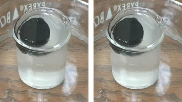 Water Purification: పెద్ద శుభవార్త చెప్పిన శాస్త్రవేత్తలు.. చెరువుల్లో నీటిని ఒక్క టాబ్లెట్తో తాగునీటిగా మార్చేయవచ్చు!