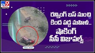 Rainbow Python video: ఏడు రంగుల కొండచిలువను ఎప్పుడైనా చూసారా..! నెట్టింట వైరల్‌ అవుతున్న వీడియో..