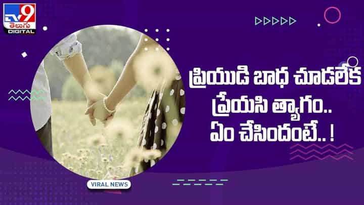 ప్రియుడి కోసం ప్రేయసి త్యాగం.. యువతి చేసిన త్యాగం చూస్తే షాక్ అవ్వాల్సిందే.. వీడియో ప్రియుడి కోసం ప్రేయసి త్యాగం.. యువతి చేసిన త్యాగం చూస్తే షాక్ అవ్వాల్సిందే.. వీడియో