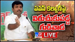 Pawan Kalyan-Vizag Steel Plant: వైసీపీ ఎంపీలపై మండిపడ్డ జనసేనాని.. వారం టైమ్ ఇస్తున్నా.. తేల్చండి అంటూ..(లైవ్ వీడియో)