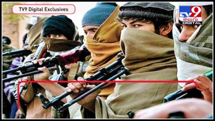 Woman Challenge to terrorists: టెర్రస్టులకు యువతి సవాల్.. దమ్ముంటే రండిరా.. వైరల్ అవుతున్న వీడియో... Woman Challenge to terrorists: టెర్రస్టులకు యువతి సవాల్.. దమ్ముంటే రండిరా.. వైరల్ అవుతున్న వీడియో...