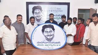 Anantapuram: అనంతపురం జిల్లాలో చిరుత పులుల హల్‌చల్.. భయాందోళనలో ప్రజలు..