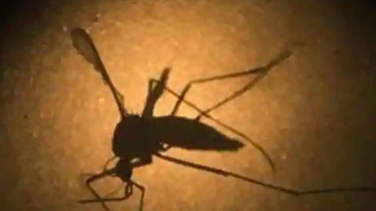 Zika Virus: యూపీలో వెలుగులోకి వచ్చిన జికా వైరస్.. మొదటి కేసు నమోదు.. అప్రమత్తమమైన అధికారులు