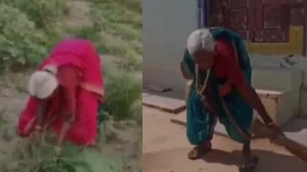 Telangana: 106 ఏళ్ల వయసులోనూ ఎంతో హుషారు.. పొలం పనులు.. ఈ బామ్మ ఫిట్నెస్ నెక్ట్స్ లెవల్