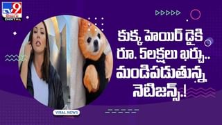 Viral Video: వెరైటీగా.. జిమ్‌లో ప్రీ వెడ్డింగ్‌ షూటింగ్‌ !! వీడియో