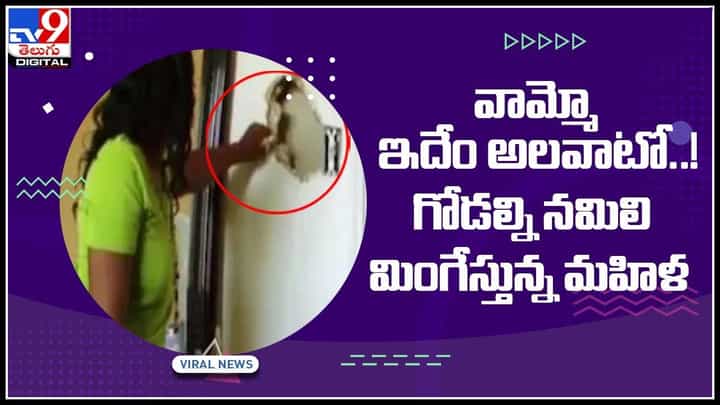 Women Eat Walls: అమెరికాలోని ఓ మహిళకు గల వింత అలవాటు ఐదేళ్లుగా గోడలను తింటున్న మహిళ.. వైరల్ వీడియో.. Women Eat Walls: అమెరికాలోని ఓ మహిళకు గల వింత అలవాటు ఐదేళ్లుగా గోడలను తింటున్న మహిళ.. వైరల్ వీడియో..