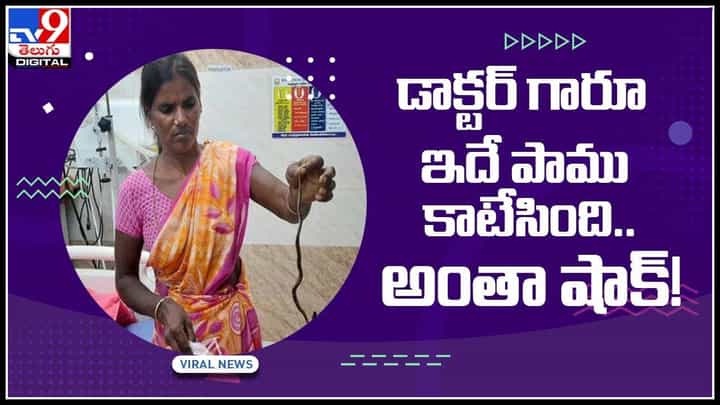Woman With Cobra: డాక్టర్ గారూ ఇదే పాము కాటేసింది..అంటూ కాటేసిన పాముతో ఆస్పత్రికి.. అంతా షాక్..! (వీడియో) Woman With Cobra: డాక్టర్ గారూ ఇదే పాము కాటేసింది..అంటూ కాటేసిన పాముతో ఆస్పత్రికి.. అంతా షాక్..! (వీడియో)
