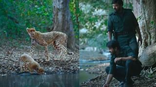 Mahesh Babu : సూపర్ స్టార్ సినీ ప్రస్థానానికి 42 ఏళ్ళు.. వైరల్ అవుతున్న మహేష్ కామన్ డీపీ..