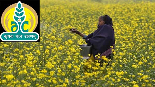 AIC Recruitment: అగ్రికల్చర్ ఇన్సూరెన్స్ కంపెనీ ఆఫ్ ఇండియాలో ఉద్యోగాలు.. అర్హులెవరు.? ఎలా దరఖాస్తు చేసుకోవాలి.?