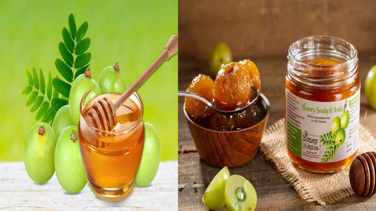 Amla and Honey: గ్యాస్, అసిడిటీ బాధితులకు ఈ మిశ్రమం సహజమైన ఔషధం.. రోజూ పరగడుపున తీసుకుంటే ఎన్నో ఆరోగ్య ప్రయోజనాలు