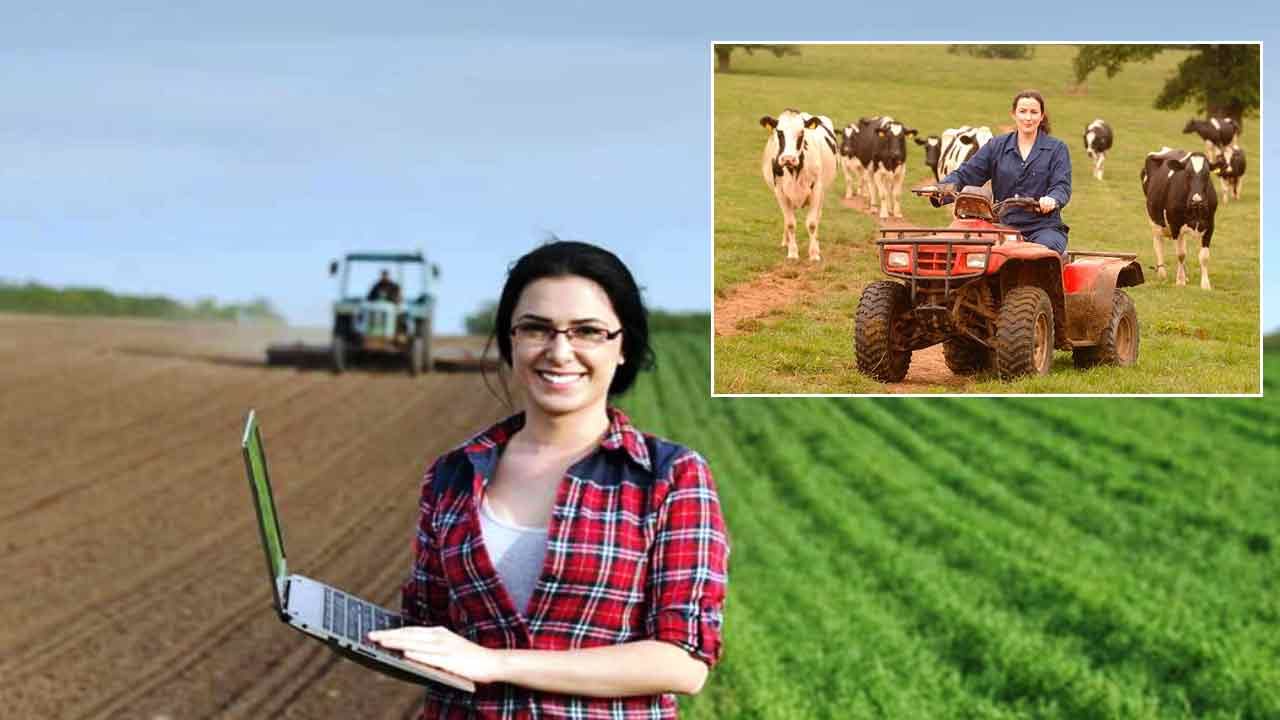 Australian female farmers: వ్యవసాయ ముఖచిత్రాన్ని మార్చేస్తున్న అక్కడి మహిళా రైతులు.. ఇది ఎలా సాధ్యమైందంటే..