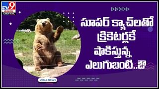 Rat fight with Snake: ఎలుకను వేటాడబోయిన పాము.. రేట్ రివర్స్‌ ఎటాక్‌ అదుర్స్‌..! ఓ రేంజ్‌లో ట్రెండ్ అవుతున్న వీడియో