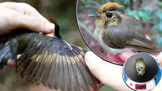 Ban Ki-moon: నా హృదయంలో సగభాగం భారత్‌కే చెందుతుంది.. యూఎన్ మాజీ చీఫ్ బాన్ కీ మూన్