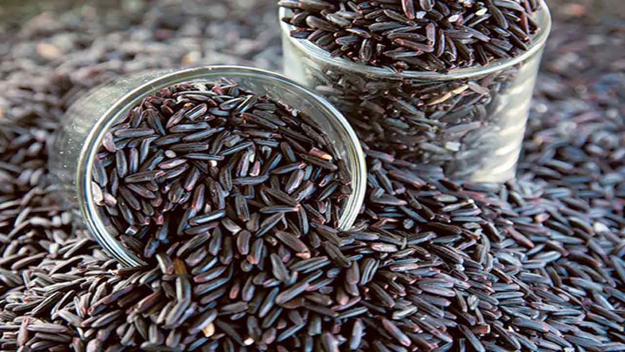 Black Rice Benefits: బ్లాక్ రైస్‏తో గుండె సమస్యలకు చెక్.. ఈ సమస్యలను కూడా తగ్గిస్తాయి..