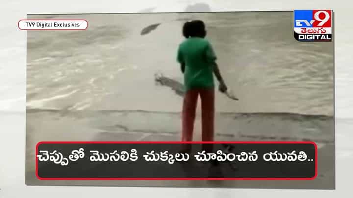 Viral Video: చెప్పుతో మొసలికి చుక్కలు చూపించిన యువతి !! దెబ్బకు పరార్ !! వీడియో Viral Video: చెప్పుతో మొసలికి చుక్కలు చూపించిన యువతి !! దెబ్బకు పరార్ !! వీడియో