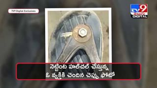 Viral Video: నోట్లోంచి సాలె పురుగు !! ఒళ్లు గగుర్పొడిచే వీడియో !! వీడియో