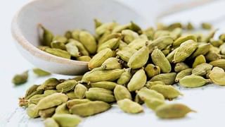 Diabetes: ఇది తినడం వల్ల డయాబెటిస్‌ వస్తుందా..? వైద్య నిపుణులు ఏమంటున్నారు..?