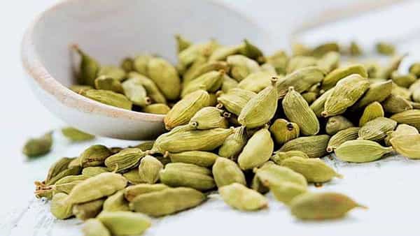 Cardamom: యాలకుల ధర ఎందుకు ఎక్కువగా ఉంటుంది.. ఇవి ఎక్కడ పండిస్తారు.. ఎలాంటి నేలల్లో పండుతుంది..?