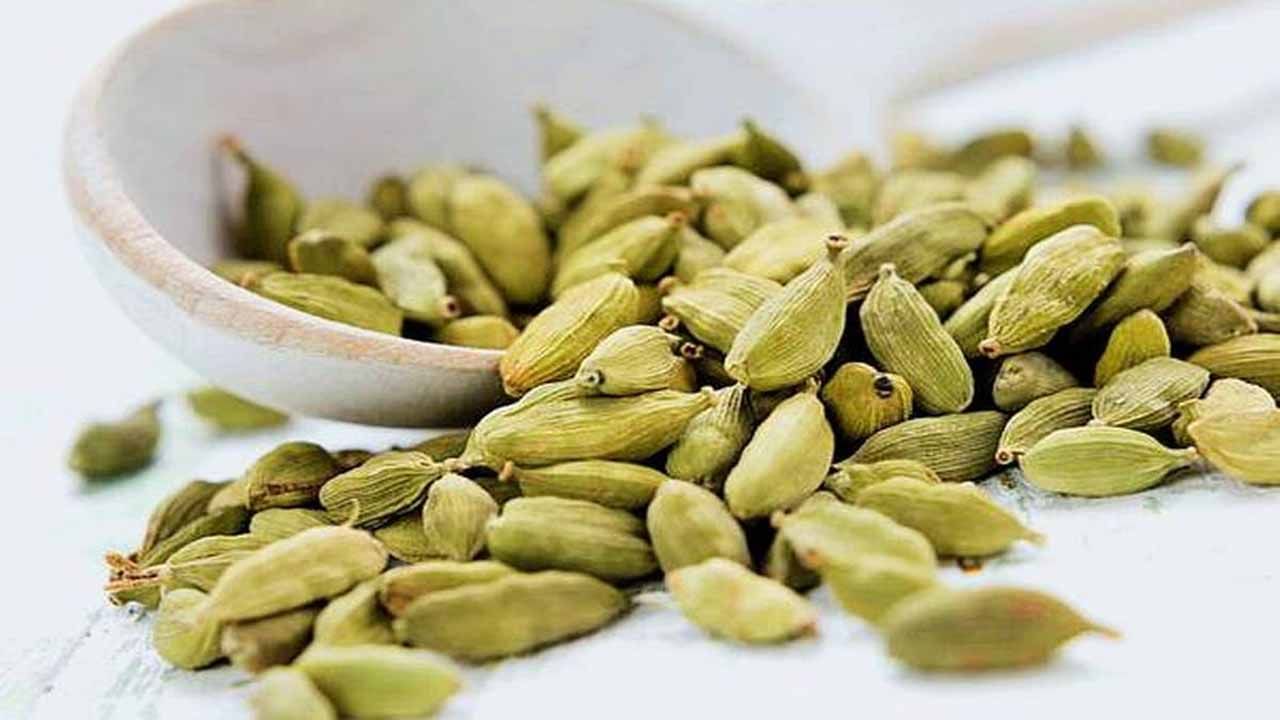 Cardamom: యాలకుల ధర ఎందుకు ఎక్కువగా ఉంటుంది.. ఇవి ఎక్కడ పండిస్తారు.. ఎలాంటి నేలల్లో పండుతుంది..?