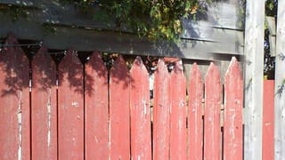 Viral Video: కప్పను వేటాడబోయిన పాము.. కట్ చేస్తే.. విషసర్పాన్ని మడతెట్టేసిన చిరుత పిల్ల.. వైరల్ వీడియో!