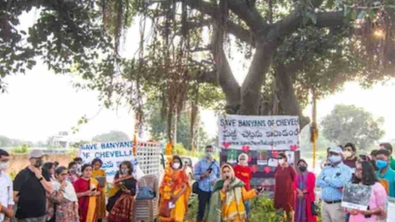 Save Banyans of Chevella:  మర్రిచెట్లను కాపాడుకునేందుకు వేలాది మంది ప్రకృతి ప్రేమికుల సమావేశం.. ఎక్కడంటే..