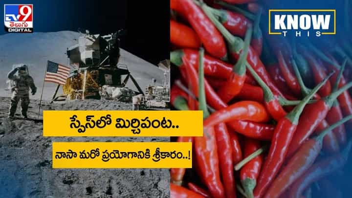 Know This: స్పేస్లో మిర్చిపంట.. నాసా మరో ప్రయోగానికి శ్రీకారం.. వీడియో Know This: స్పేస్లో మిర్చిపంట.. నాసా మరో ప్రయోగానికి శ్రీకారం.. వీడియో