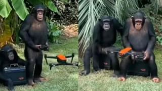 Honeymoon in the Air: ఆకాశంలో హనీమూన్.. జంటల కోసం అదిరిపోయే ఆఫర్ ప్రకటించిన ఎయిర్‌లైన్స్..