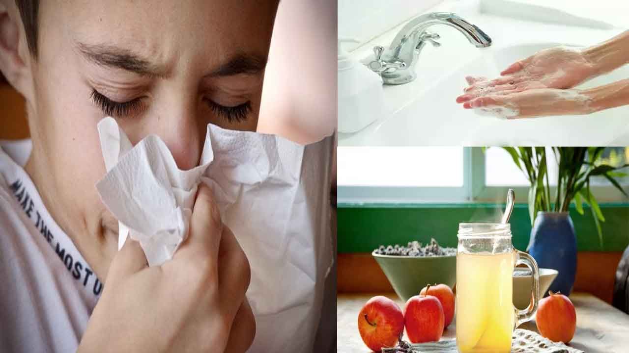 Common Cold: చలికాలం వచ్చేస్తోంది.. జలుబు రాకుండా తీసుకోవాల్సిన ముందస్తు జాగ్రత్తలు ఏమిటంటే..