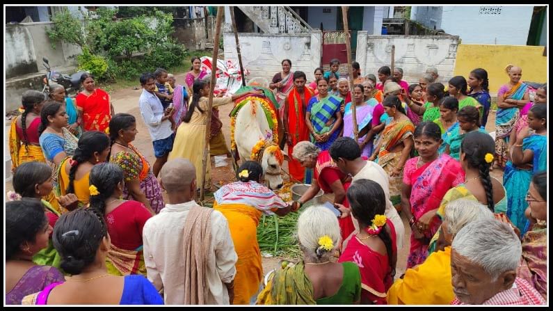 గోవును పూజించడం వలన గ్రామానికి మంచి జరుగుతుందని గోమాతకు తొమ్మిదో నెల వచ్చిన సందర్భంగా శ్రీమంతం నిర్వహిస్తున్నామన్నారు