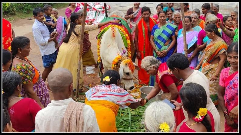 ఈ రోజు ఏకాదశి కార్తీక సోమవారం మంచి రోజున గోమాతకు శ్రీమంతం చేయటం మంచి శుభపరిణామమని గ్రామస్తులు అన్నారు