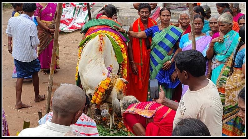 గుంటూరు జిల్లా వేమూరు నియోజకవర్గం.కొల్లూరు మండలం ఈపూర్ లంక గ్రామస్తులు గోమాత కి శ్రీమంతం నిర్వహించారు.