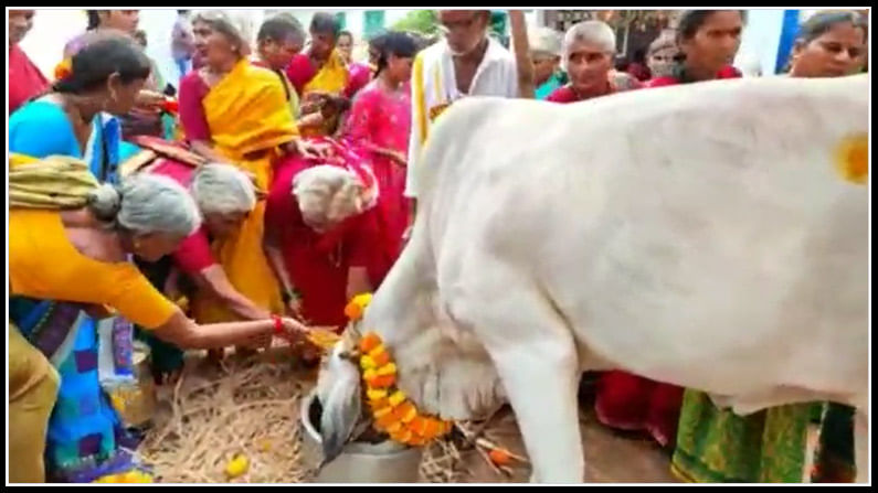 గోమాతను పూజించి నైవేద్యం సమర్పించి గ్రామానికి మంచి జరగాలని గ్రామస్తులు అందరూ కలిసి శ్రీమంత వేడుకల్లో పాల్గొన్నారు