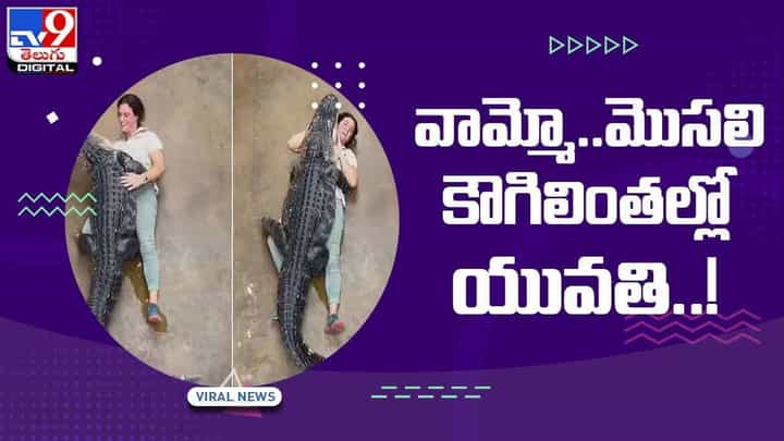 Viral Video: వామ్మో.. మొసలి కౌగిలింతల్లో యువతి !! వీడియో Viral Video: వామ్మో.. మొసలి కౌగిలింతల్లో యువతి !! వీడియో