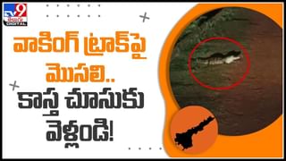 AP Politics: బద్వేల్‌ ప్రజలు భాజపానే కాదు టీడీపీ, జనసేనలను కూడా ఓడించారు.. ప్రెస్‌ మీట్‌లో ఎంపీ నందిగం సురేష్‌..