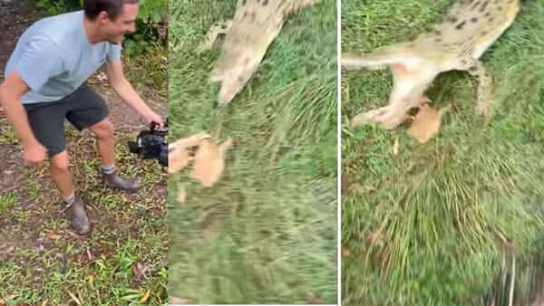 Viral Video: మొసలితో పరాచకాలు.. జస్ట్ మిస్.. లేదంటే క్షణాల్లో మాంసం ముద్ద అయ్యేవాడు