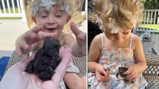 Narmada River: తూర్పు నుంచి పశ్చిమ దిశకు ప్రవహిస్తూ..  పాపాలను తొలగించే నర్మదానది విశిష్టత ఏమిటంటే..